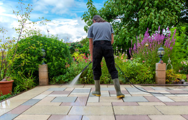 Animal Enclosure Cleaning in Pughtown, PA